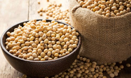 soy beans